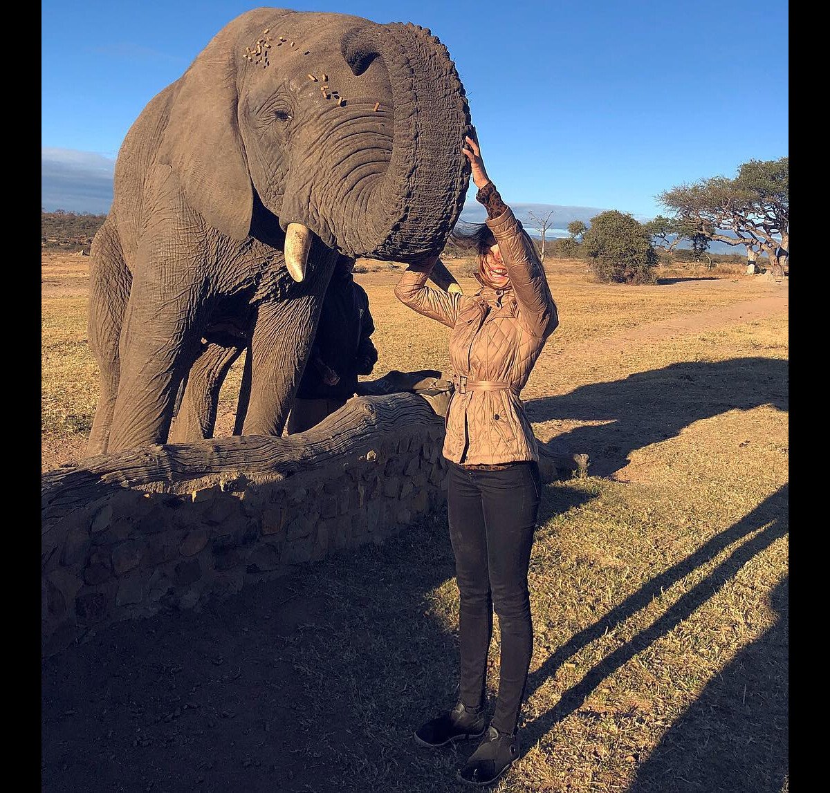 Grazi Massafera faz safári com a filha e posa com elefante na África do Sul  - Purepeople