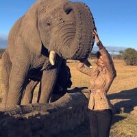 Grazi Massafera faz safári com a filha e posa com elefante na África do Sul