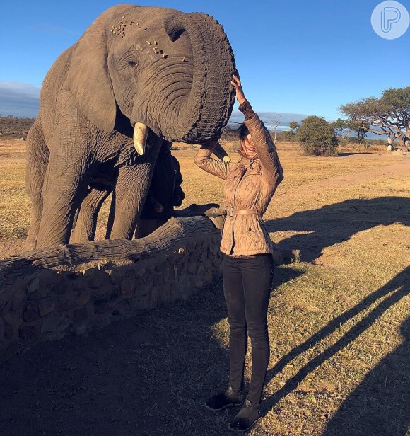 Grazi Massafera compartilhou fotos da viagem à África do Sul em seu Instagram, nesta segunda-feira, 16 de julho de 2018