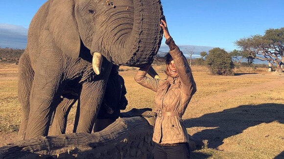 Grazi Massafera faz safári com a filha e posa com elefante na África do Sul