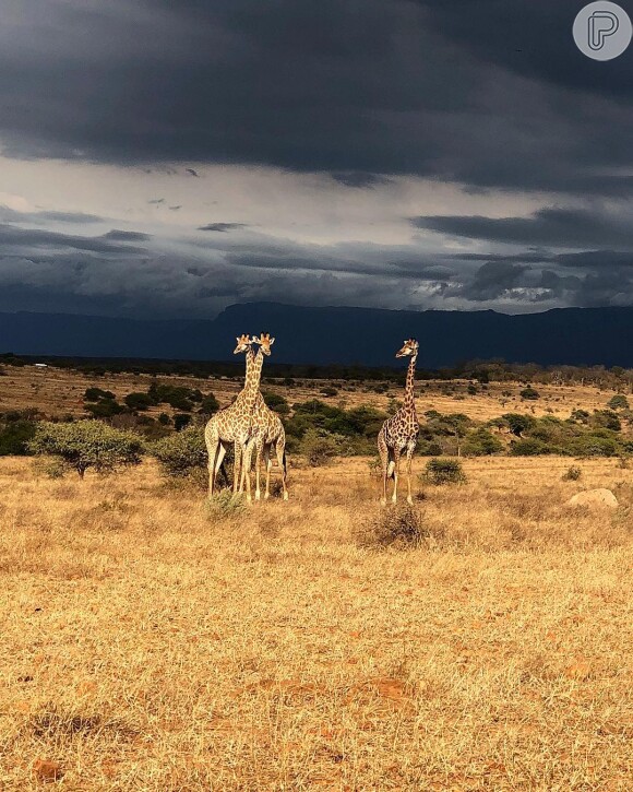 Grazi Massafera registrou as paisagens do safari pela África do Sul no Instagram