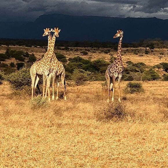 Grazi Massafera registrou as paisagens do safari pela África do Sul no Instagram