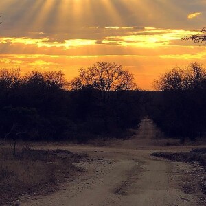 Grazi Massafera tem exibido momentos da viagem à África do Sul no Instagram