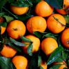 Os antioxidantes presentes no suco de laranja podem fornecer muitos benefícios para a saúde, incluindo a prevenção do câncer e derrame.