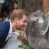 Meghan Markle e príncipe Harry se divertiram com um coala no zoológico
