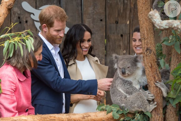 Meghan Markle e príncipe Harry visitaram um zoológico australiano