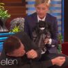 Channing Tatum fica desesperado ao ver boneca de porcelana no programa de Ellen DeGeneres, em 9 de setembro de 2014