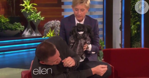 Channing Tatum fica desesperado ao ver boneca de porcelana no programa de Ellen DeGeneres, em 9 de setembro de 2014