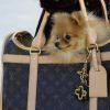 Malas prontas: Louis Vuitton bag dog