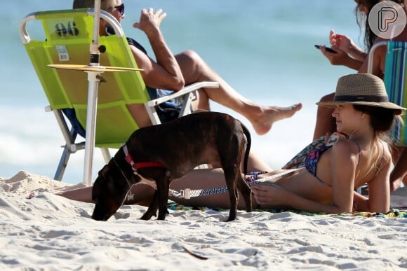 Juliana Paiva curte domingo de sol com seu cachorro na praia