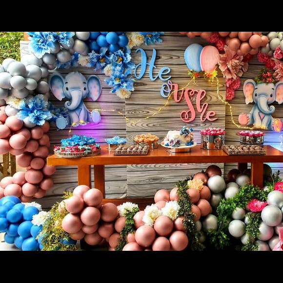 Malvino Salvador e Kyra Gracie transmitiram chá revelação para familiares