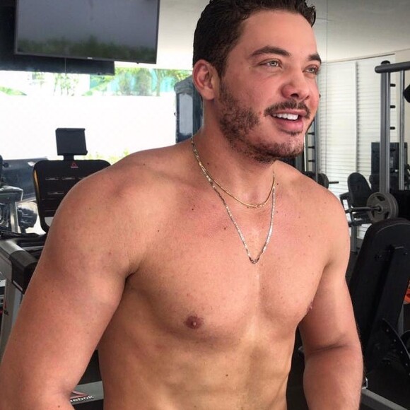 Wesley Safadão posou sem camisa e ganhou elogio de Sabrina Sato