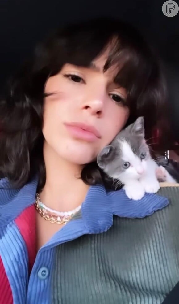 Bruna Marquezine adotou filhote de gato em viagem. A pet se chama Mia Marquezine Celulari