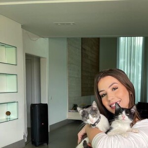 Whindersson Nunes elogia foto de Maria Lina em que influencer aparece com gatos no colo