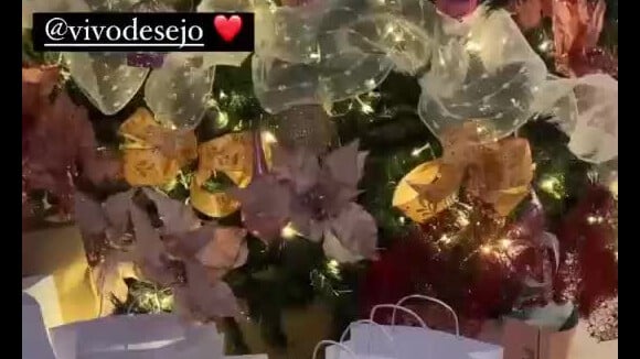Deolane Bezerra mostra presentes de Natal grifados embaixo da árvore, mas explica que preferia dar dinheiro aos familiares