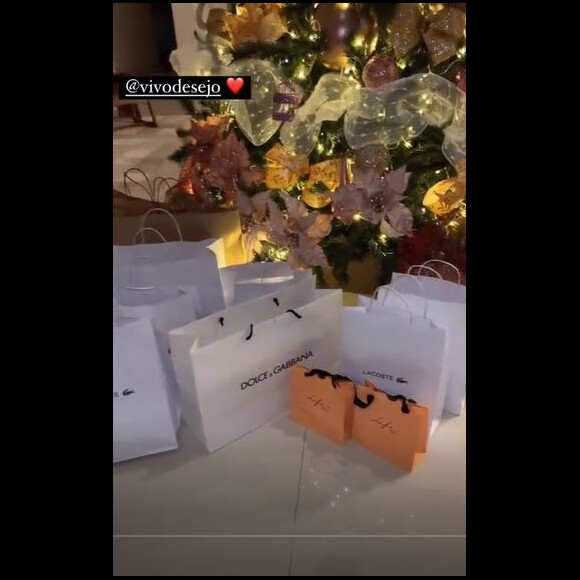 Deolane Bezerra filmou de perto os presentes embaixo de sua árvore de Natal, e foi possível ver sacolas da Lacoste, da Vivara e da Dolce & Gabbana