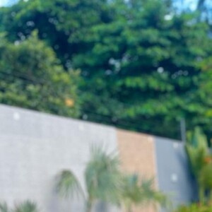 De biquíni, Paolla Oliveira exibe coxas grossas em foto com Marley, um dos cachorros de estimação