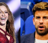 Shakira e Gerard Piqué estão separados desde junho e têm travado diversas batalhas por conta das posses milionárias do casal