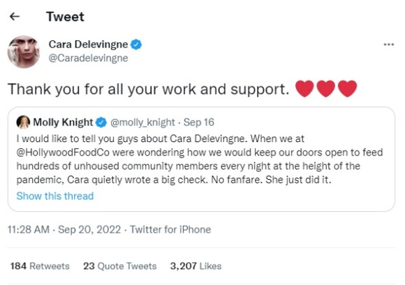 Cara Delevingne falou pela primeira vez sobre o assunto no Twitter