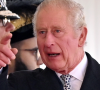 Rei Charles III: a retirada dos títulos de Príncipe Harry e Meghan Markle foi vista como uma possível represália após a série documental