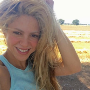 Shakira começou a construir um muro para separar sua casa da residência da ex-sogra