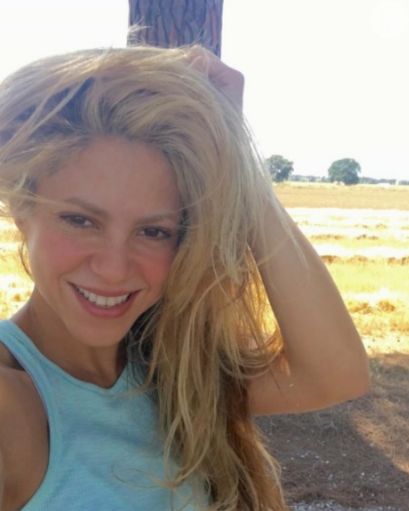Shakira começou a construir um muro para separar sua casa da residência da ex-sogra