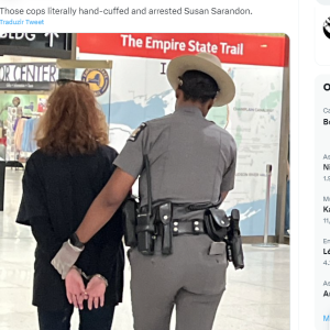 Susan Sarandon chegou a ser algemada por um policial