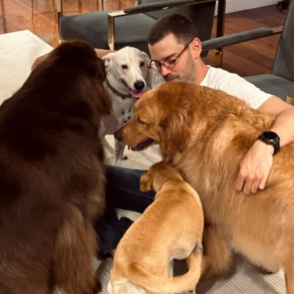 Rafa Kalimann disse que a presença de Antônio Bernardo Palhares lhe traz 'calmaria'