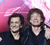Mick Jagger pretende doar seu dinheiro para a caridade após a morte