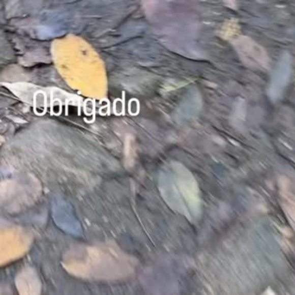Grazi Massafera e Cauã Reymond postaram fotos em cenários bucólicos em horas relativamente próximas. Muitos internautas desconfiaram que os dois estavam juntos