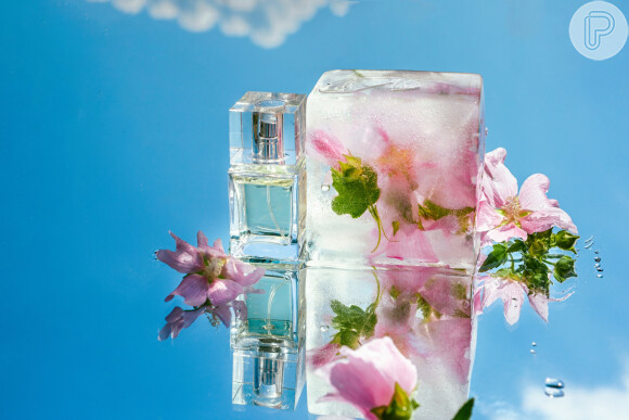Perfumista Veronica Kato revela que colocar perfume na geladeira, a uma temperatura média de cinco graus, pode fazer com que a vida útil da fragrância seja prolongada de três para cinco a seis anos