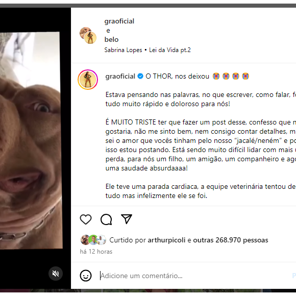 Gracyanne Barbosa que faz comunicado triste após a morte do seu querido Thor: 'Ele se foi'