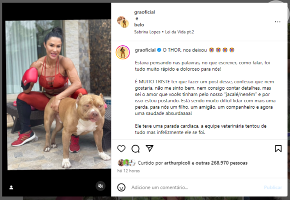 Morre Thor, cachorro de Gracyanne Barbosa após um parada cardíaca