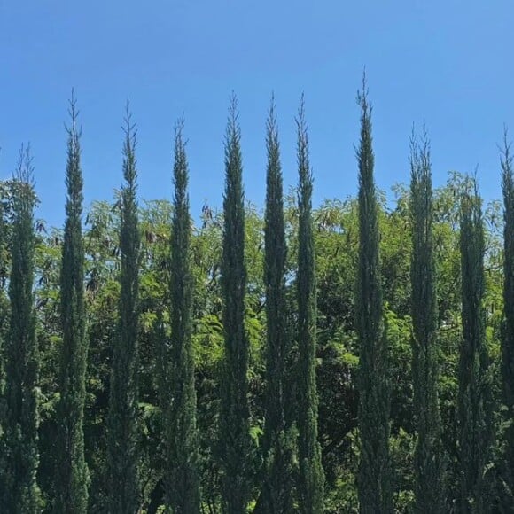 Maisa Silva elegeu um biquíni laranja que deixou seu corpo bastante desenhado