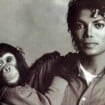 15 anos da morte de Michael Jackson: como está hoje o macaco do Rei do Pop, alvo de polêmica sobre relação agressiva?