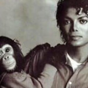 Michael Jackson tinha um macacao chamado Bubbles