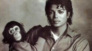 15 anos da morte de Michael Jackson: como está hoje o macaco do Rei do Pop, alvo de polêmica sobre relação agressiva?