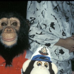 Macaco de Michael Jackson, Bubbles recebe mais de US$ 30 mil em cuidados