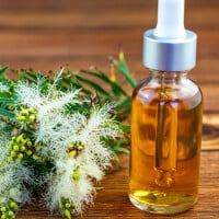 Melaleuca: 3 produtinhos com o óleo vegetal que melhora e acalma a pele