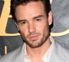 Irmã de Liam Payne destacou qualidades do cantor e apontou injustiça do mundo contra ele: ' Você só queria ser amado e fazer as pessoas felizes com a sua música'