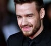 Antes de morrer, Liam Payne contratou duas prostitutas por meio de um site adulto