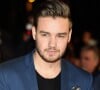 Prostitutas afirmaram em depoimento que beberam com Liam Payne, mas não consumiram drogas