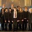 O Leão 'atacou' astro de Harry Potter: ator da franquia de sucesso desembolsa fortuna milionária à receita britânica. Entenda!