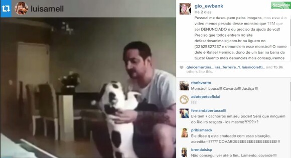Giovanna Ewbank também se manifestou sobre o vídeo das cachorrinhas sendo agredidas em rede social. 'Monstro tem que ser denunciado'
