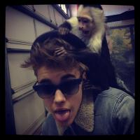Justin Bieber abandona Mally, macaco de estimação apreendido na Alemanha