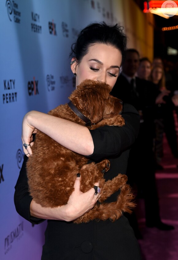 Katy levou sua cachorrinha para o lançamento do DVD