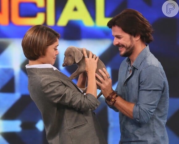 Daniel de Oliveira levou para Sophie Charlotte um cachorrinho de presente. 'Domingão do Faustão', 5 de abril de 2015