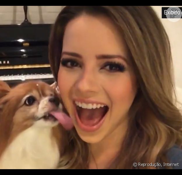 Cachorro da sandy raça Outlet