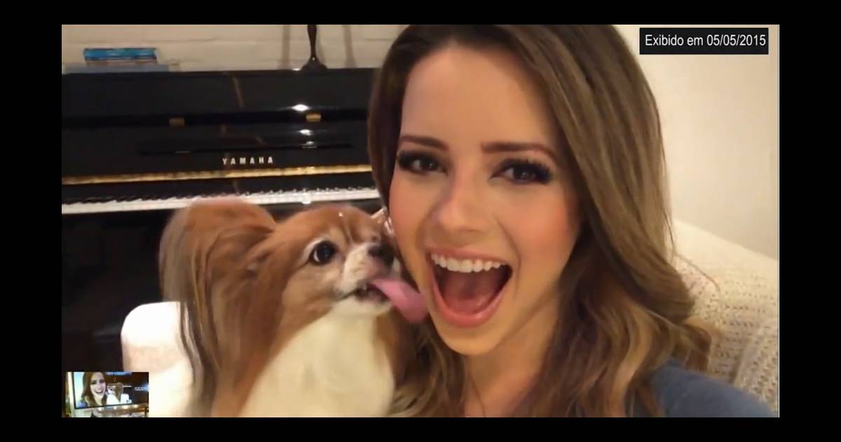 Cachorro da sandy raça Outlet