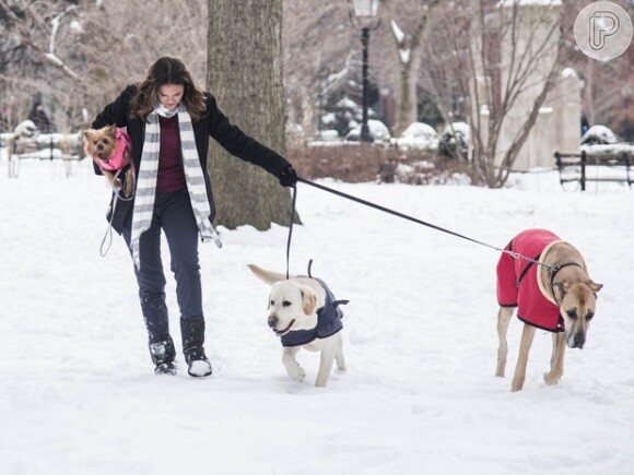 Mari (Bruna Marquezine) também foi babá de cães em Nova York, Estados Unidos